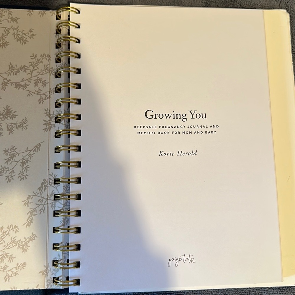 Brandnew beautiful pregnancy journal.